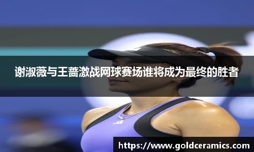 谢淑薇与王蔷激战网球赛场谁将成为最终的胜者